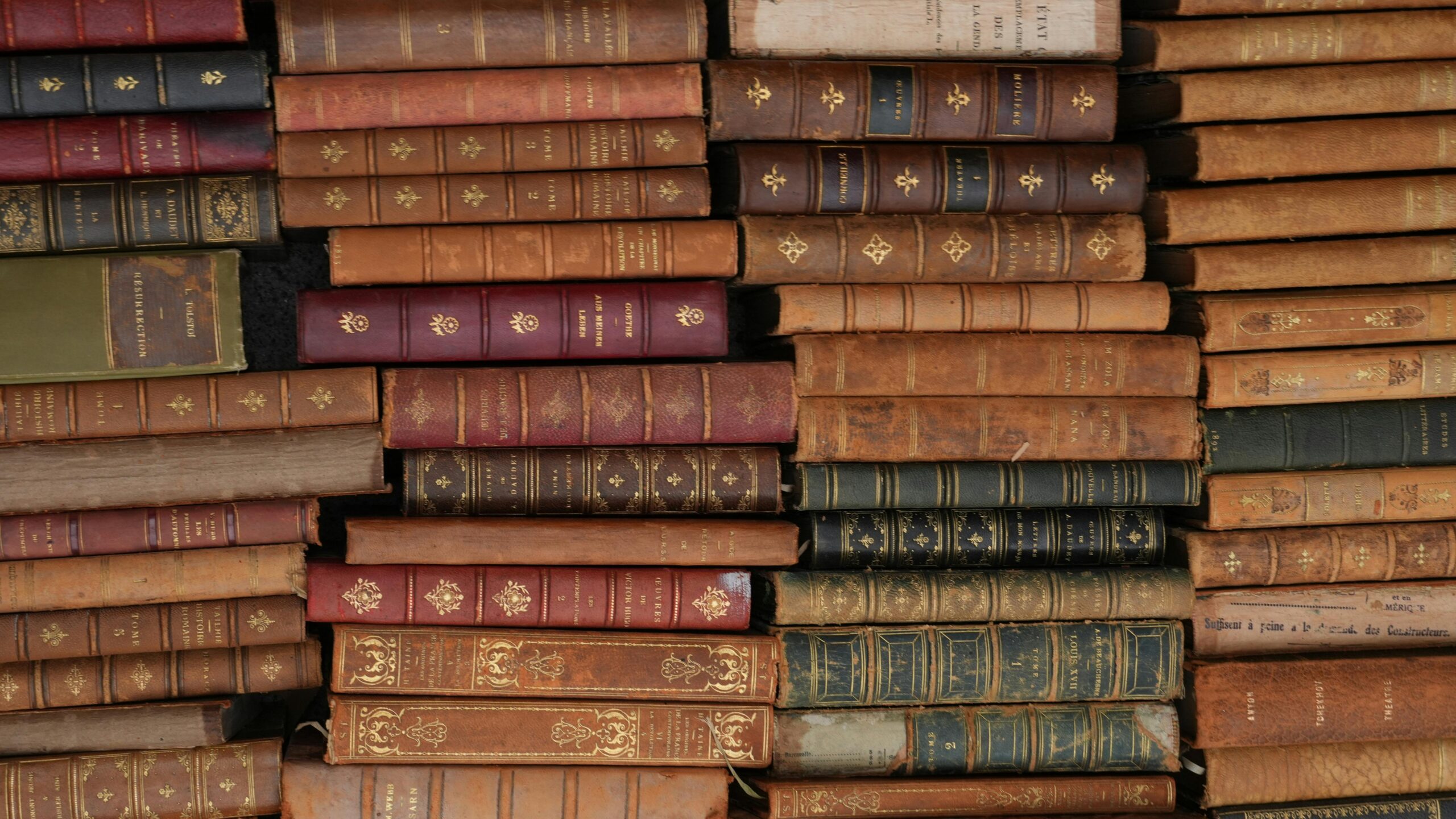 Mudar la biblioteca