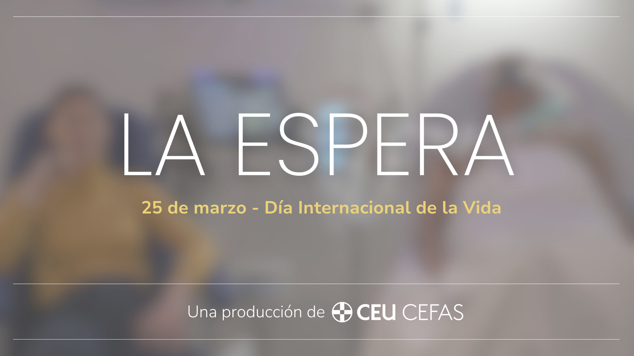 Celebramos el Día Internacional de la Vida